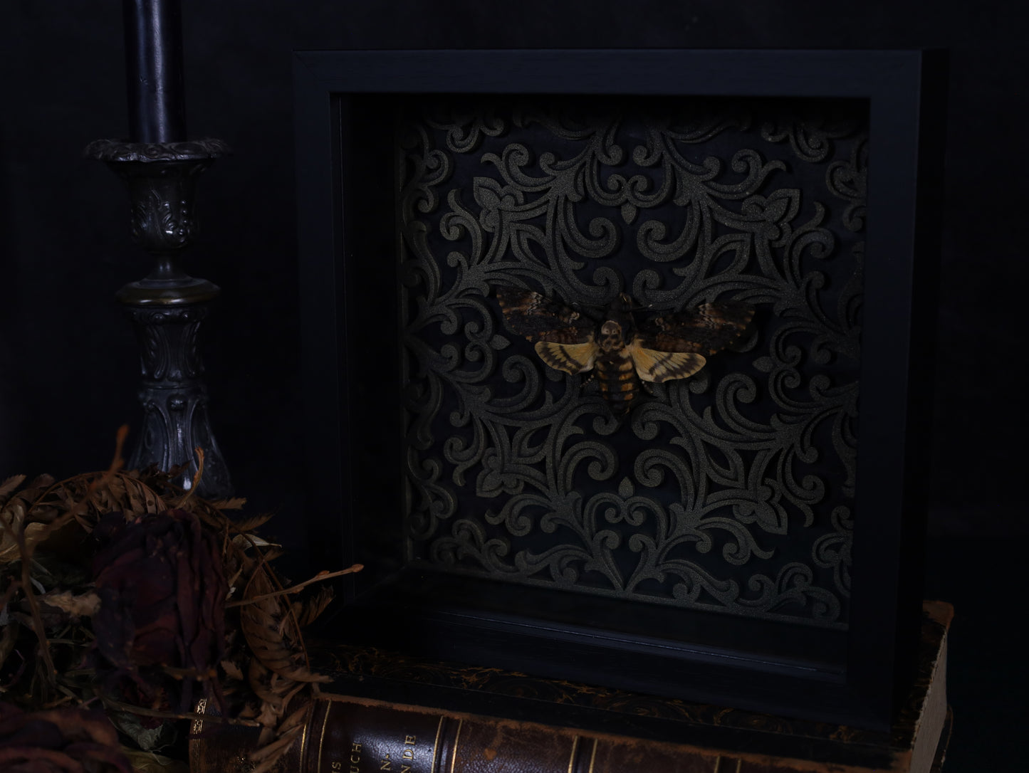 Totenkopfschwärmer im Rahmen mit Barock Hintergrund | Präparierter Schwärmer