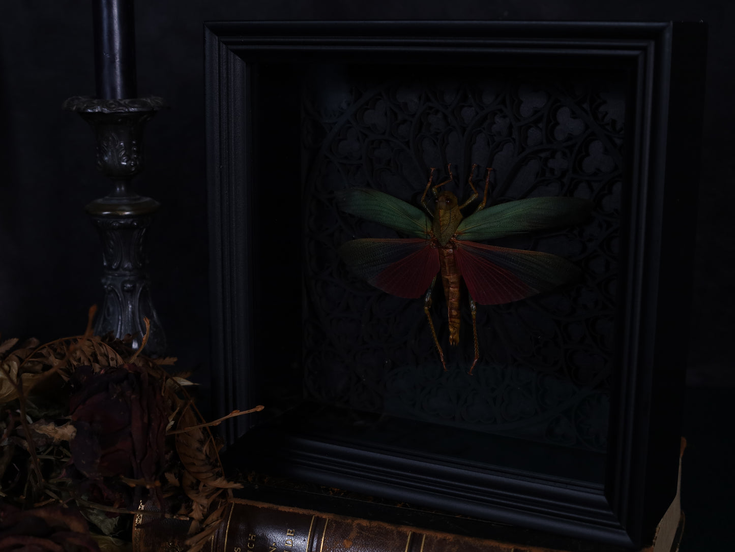 Echte Heuschrecke im Rahmen mit Gotik Hintergrund