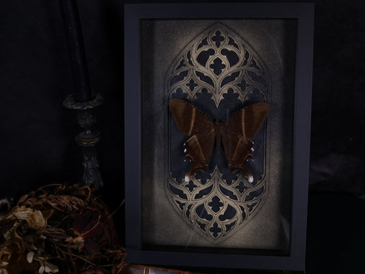 Swallowtail moth in a frame with a Gothic background