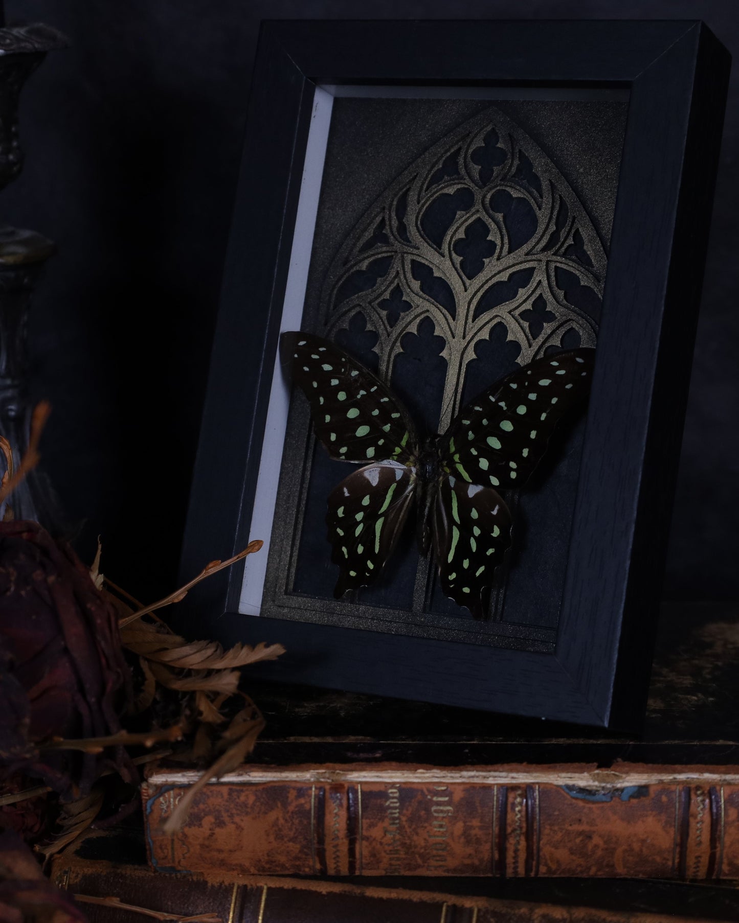 Graphium agamemnon im schwarzen 3D-Rahmen mit gotischem Hintergrund | 18 x 13 cm