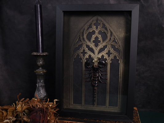 Heterometrus laoticus im Rahmen mit Gotischem Hintergrund | 20 x 30 cm