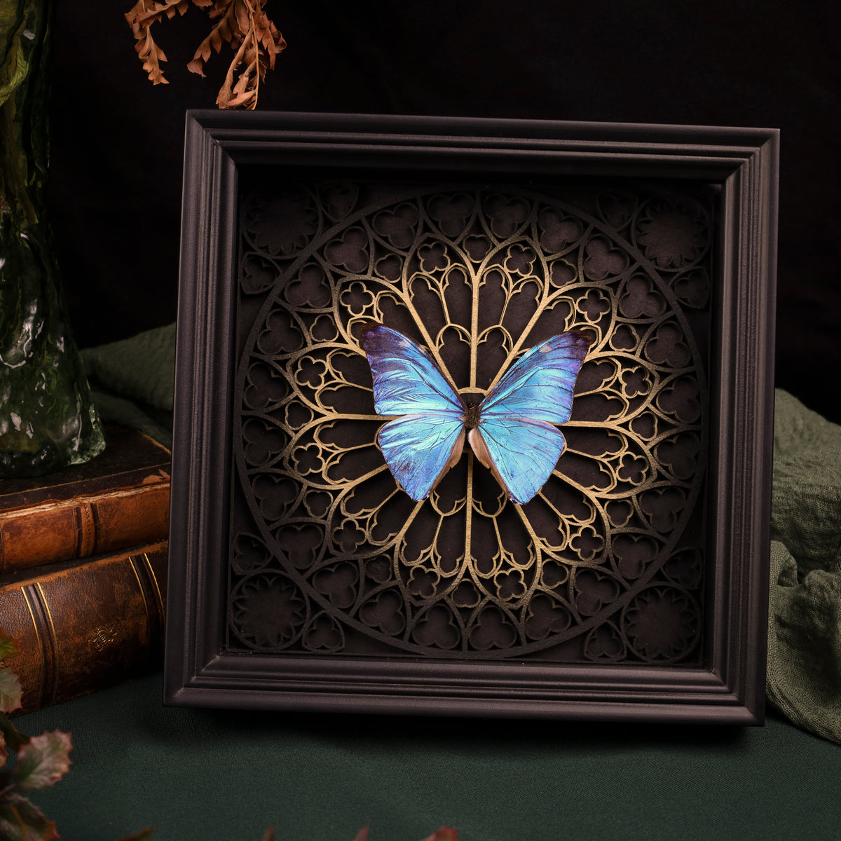 Morpho adonis im Rahmen – Schmetterling auf gotischem Kathedralhintergrund