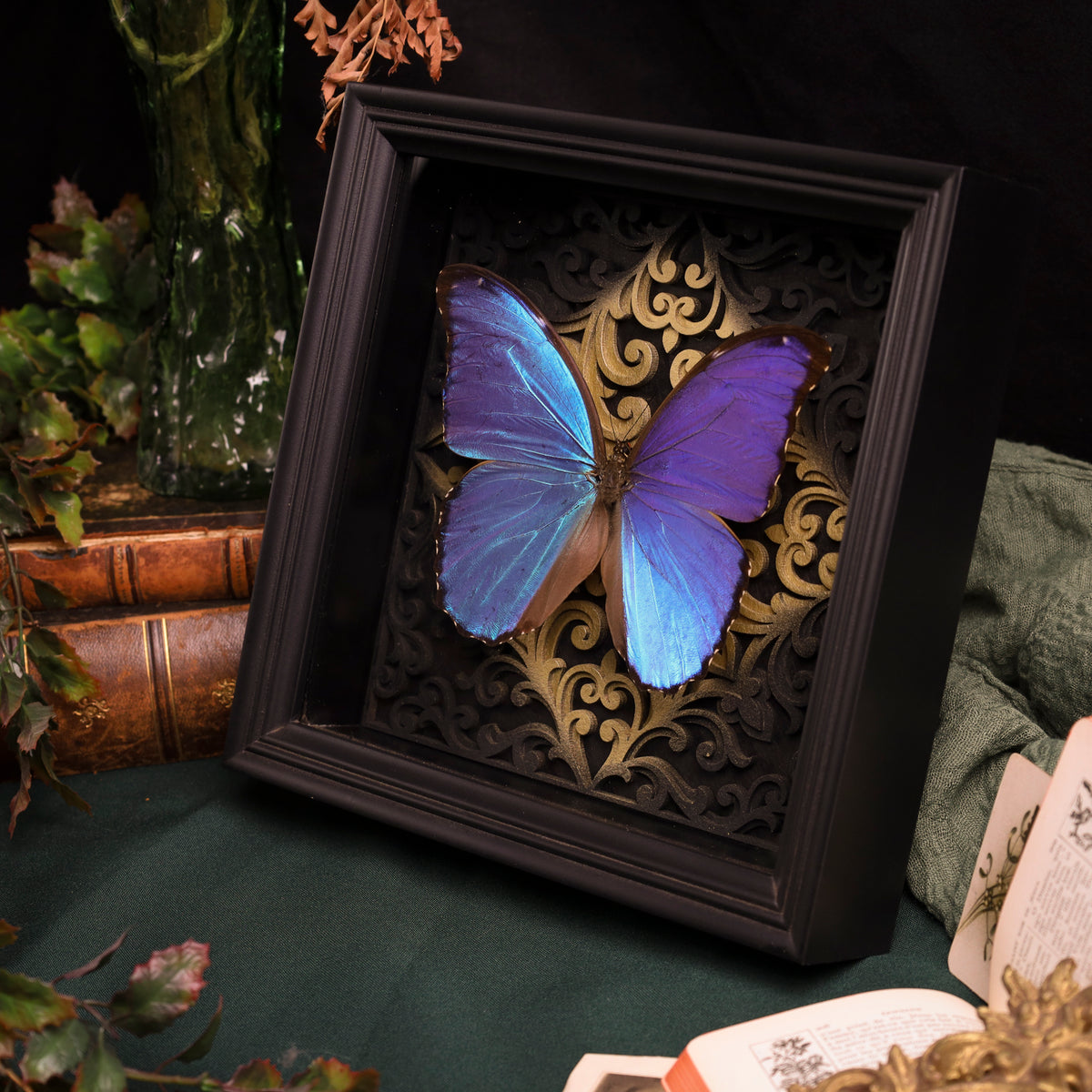 Morpho didius im Rahmen – Schmetterling auf gotischem Kathedralhintergrund