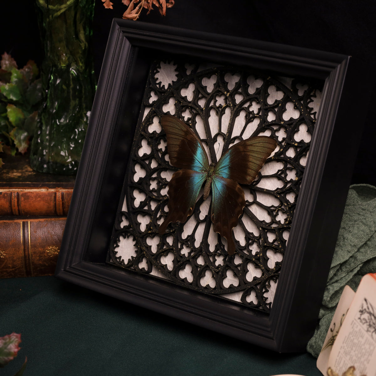 Papilio peranthus im Rahmen – Schmetterling auf gotischem Kathedralhintergrund