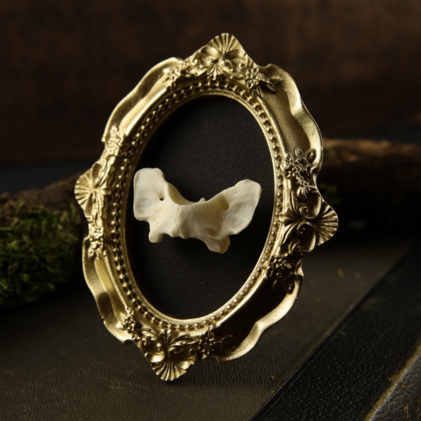 Fuchs-Atlaswirbel im goldenen Barockrahmen – Wanddekoration aus Knochen (mit Aufhängung)