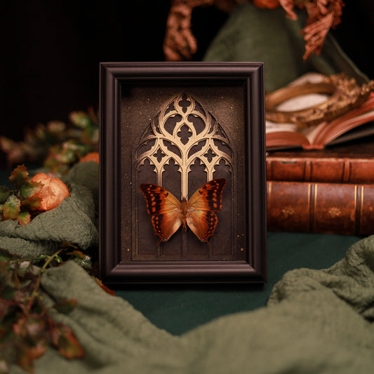 Charaxes andranodorus im Rahmen – Gotische Naturkunst mit Goldakzent