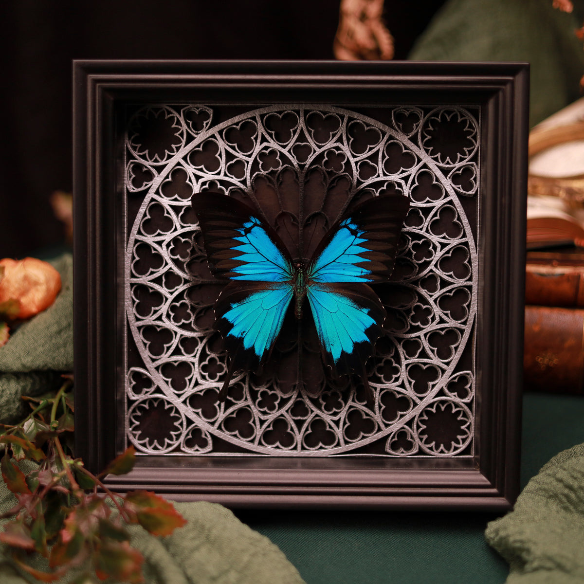 Papilio ulysses im schwarzen 3D-Rahmen mit Gotischem Hintergrund (Gold|Silber)