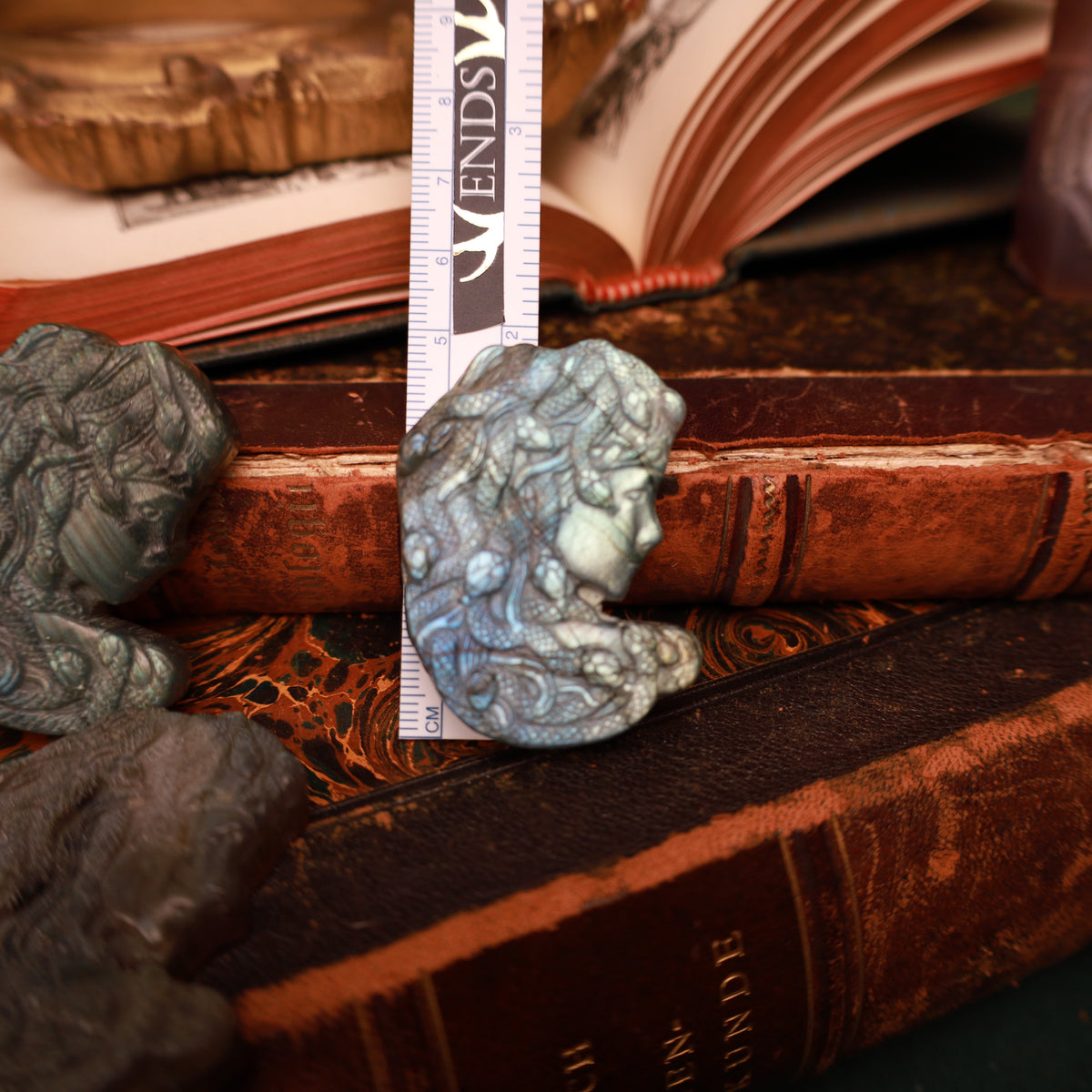 Labradorit Medusa – detailreiches Carving, 50 × 30 mm