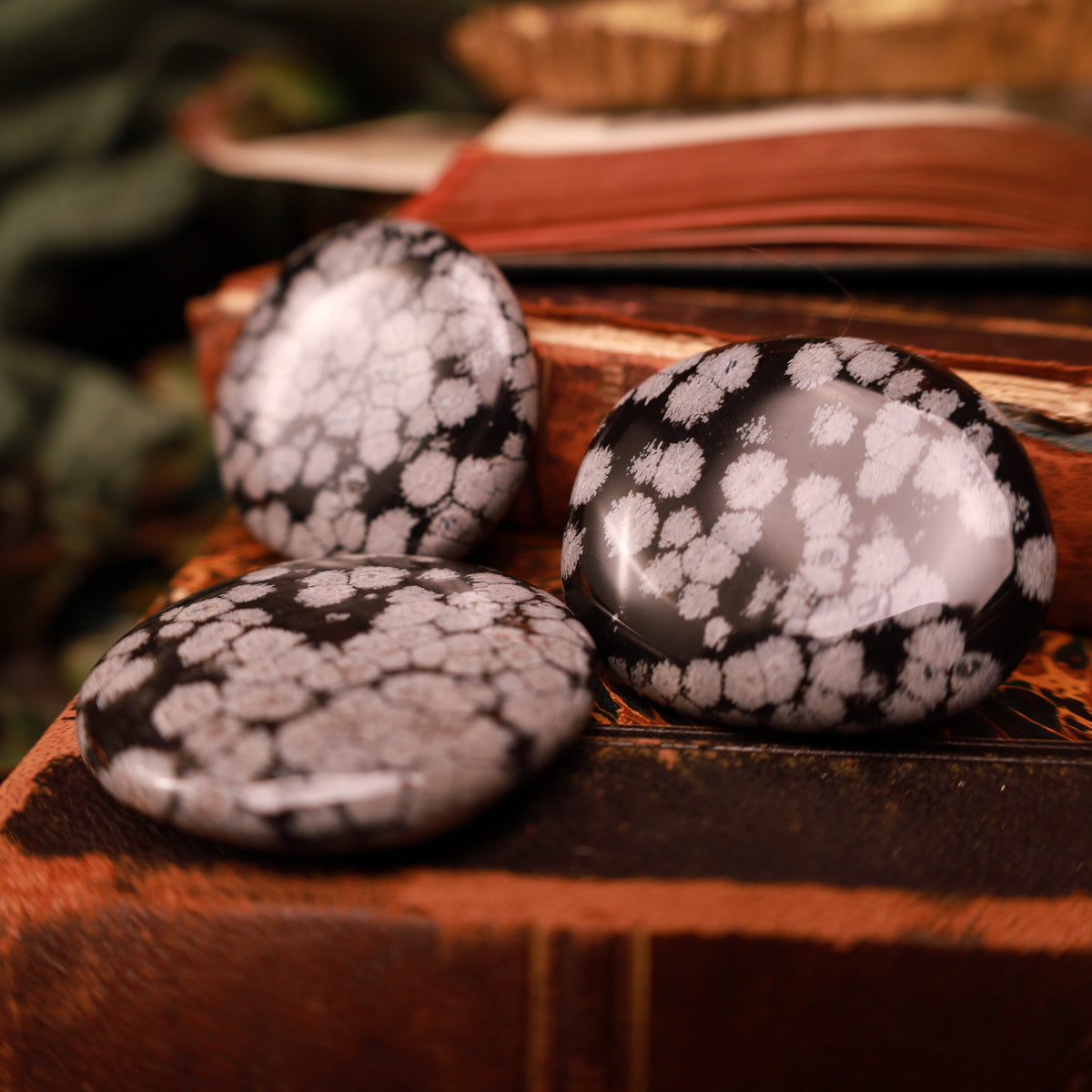 Handschmeichler aus Schneeflockenobsidian – Ø 50 mm