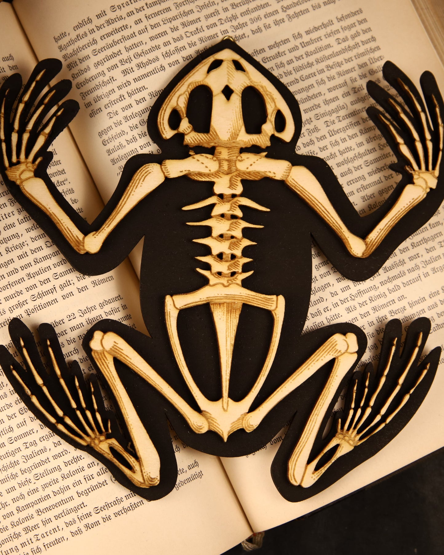 Wooden frog skeleton | Vegan taxidermy