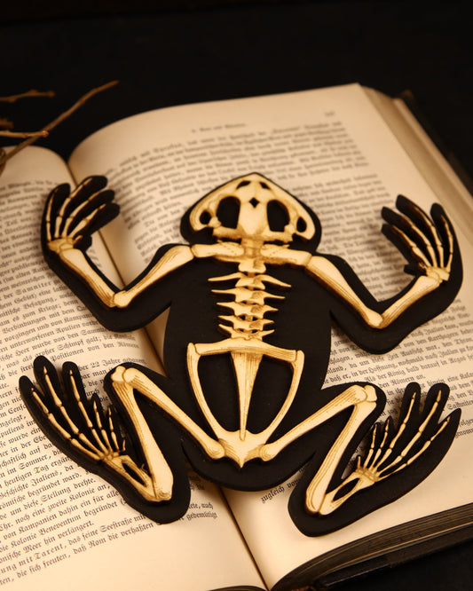 Frosch-Skelett aus Holz | Vegan Taxidermie