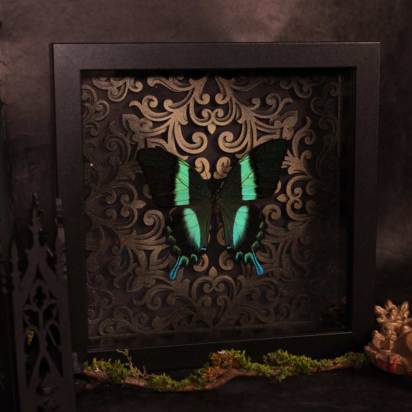 Gerahmter Papilio Blumei im schwarzen Holzrahmen mit Barock-3D-Hintergrund