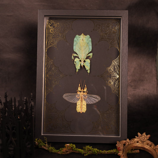 Wandelnde Blätter im Rahmen