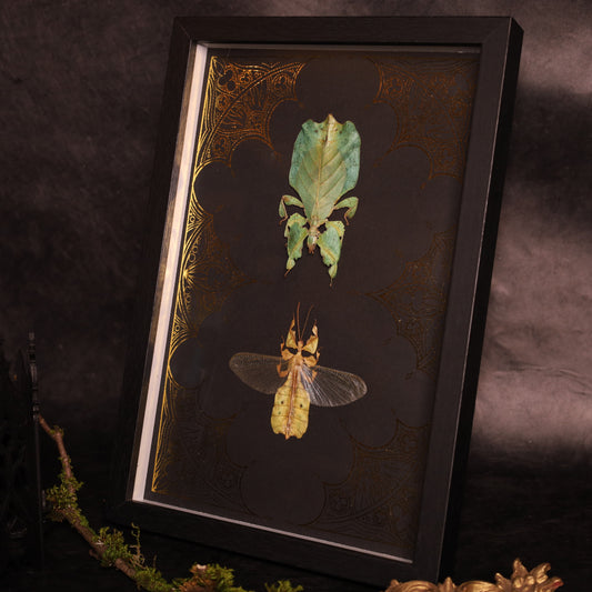 Wandelnde Blätter im Rahmen