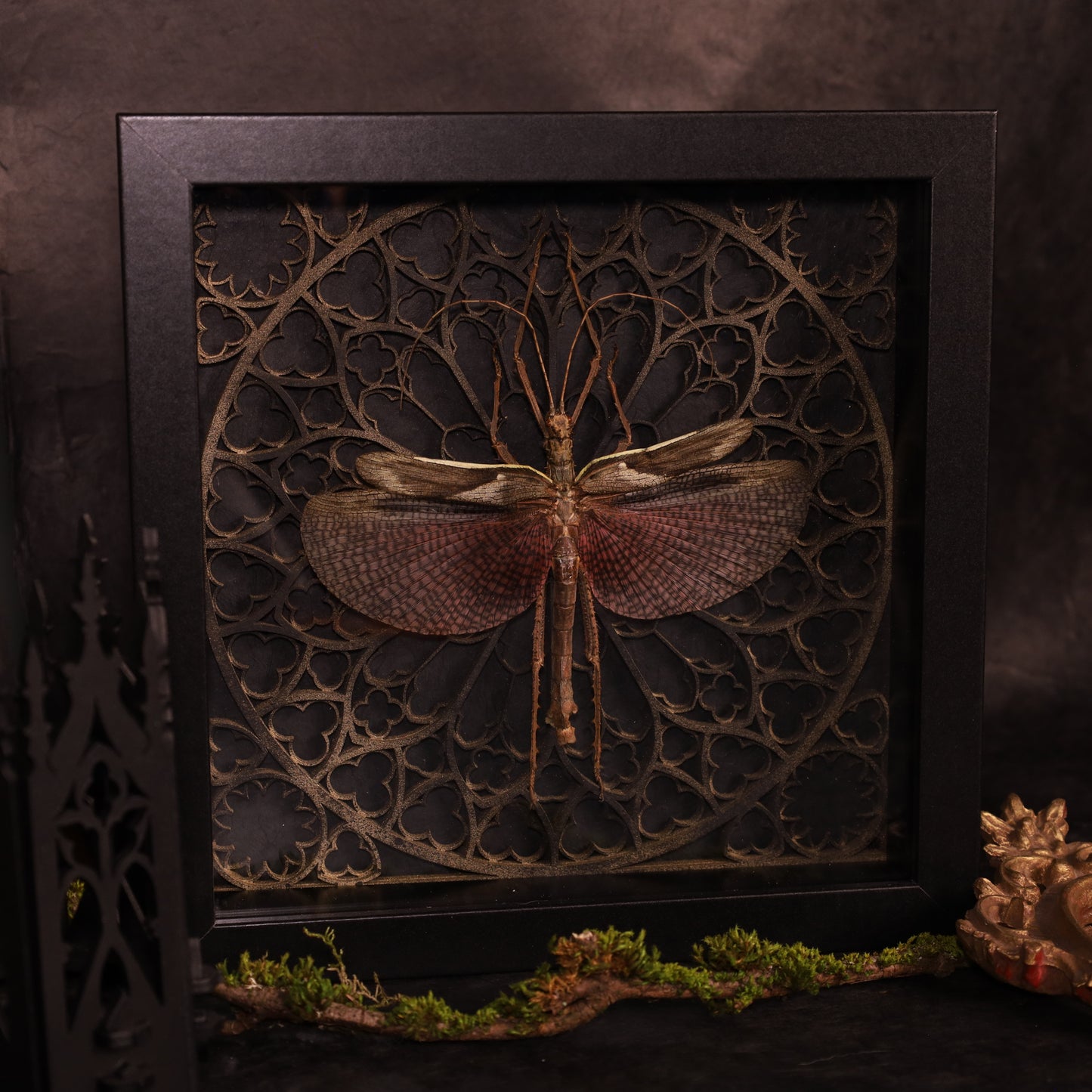 Echte Riesengespenstschrecke im Rahmen