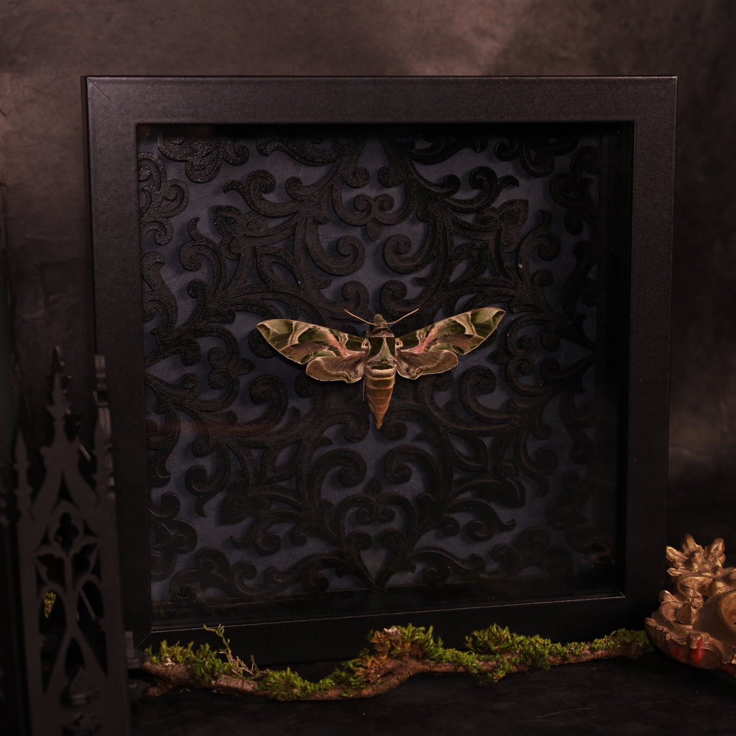 Oleander hawk-moth in a frame - Baroque