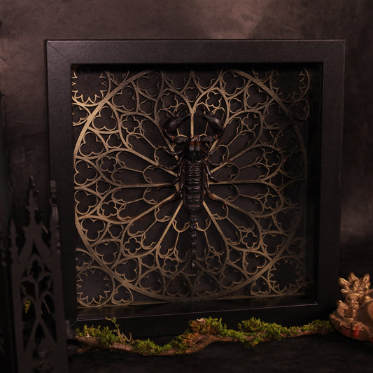 Präparierter Skorpion im Rahmen mit gotischem Design