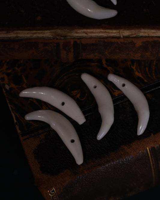 Schneidezahn vom Fuchs - gebohrt