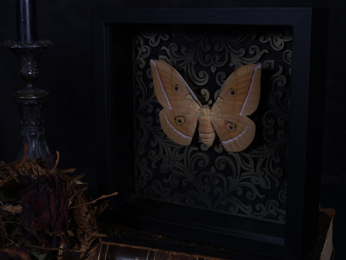 Antheraea yamamai in a frame with a Gothic background