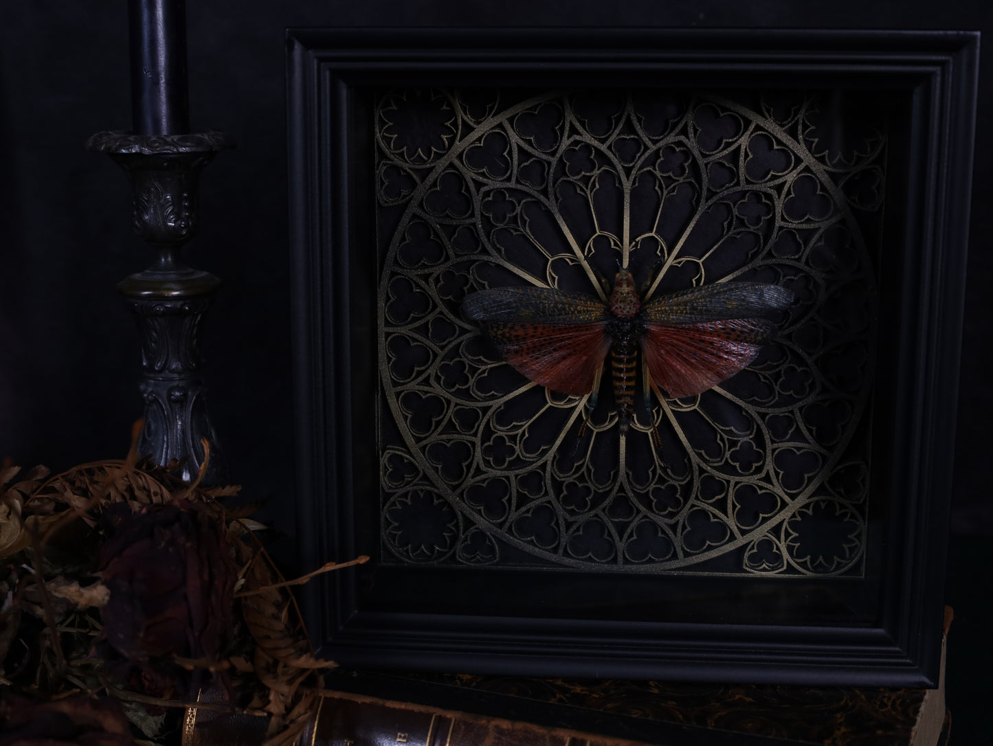 Real grasshopper in a frame with a Gothic background
