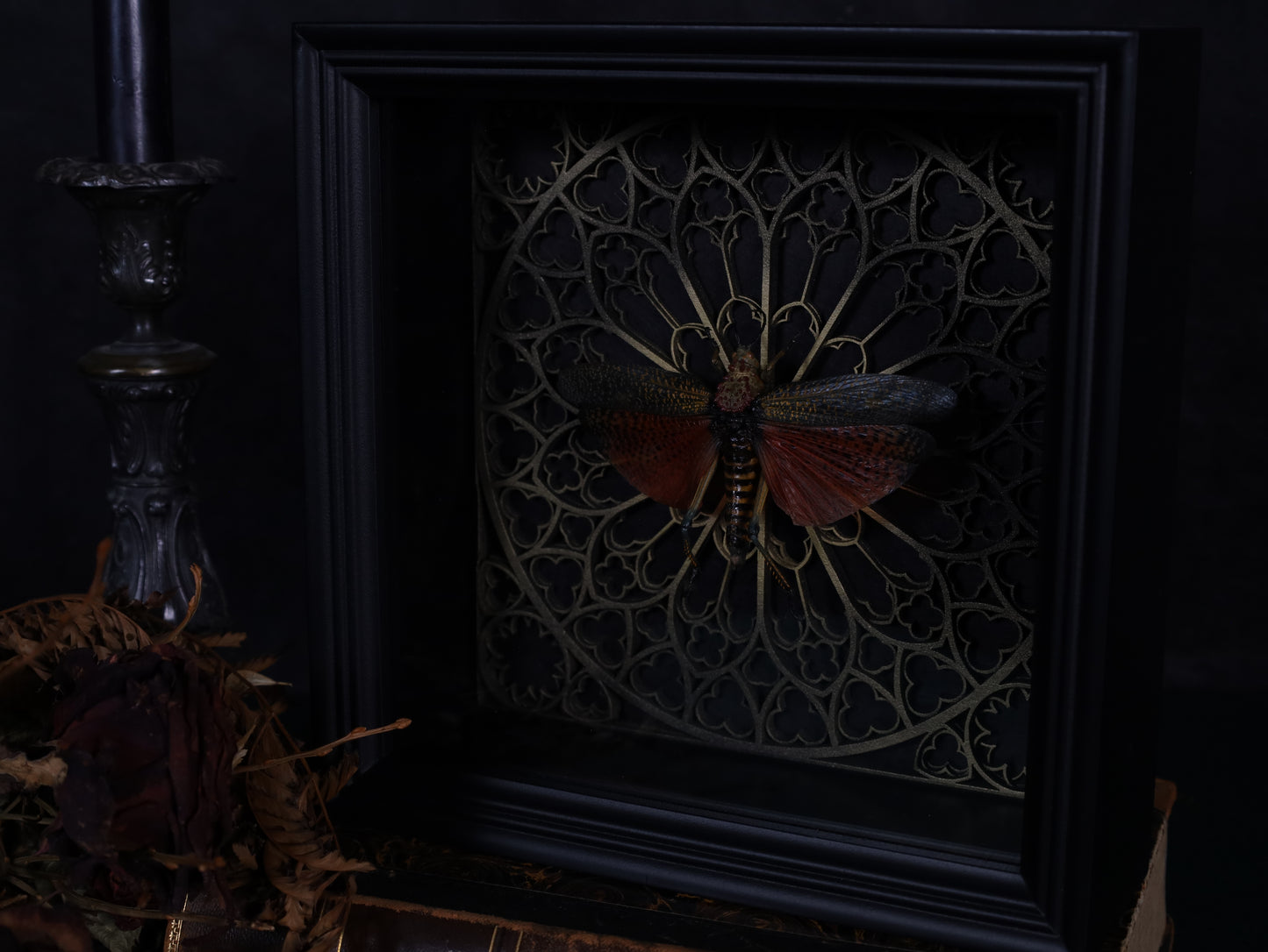 Real grasshopper in a frame with a Gothic background