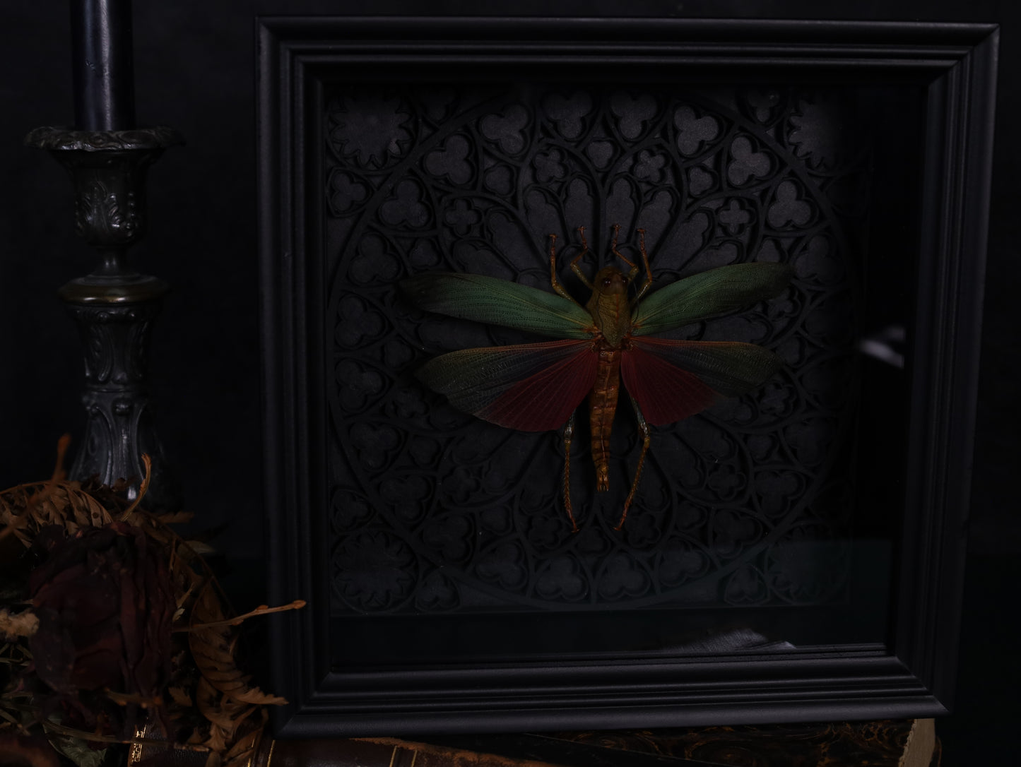 Echte Heuschrecke im Rahmen mit Gotik Hintergrund