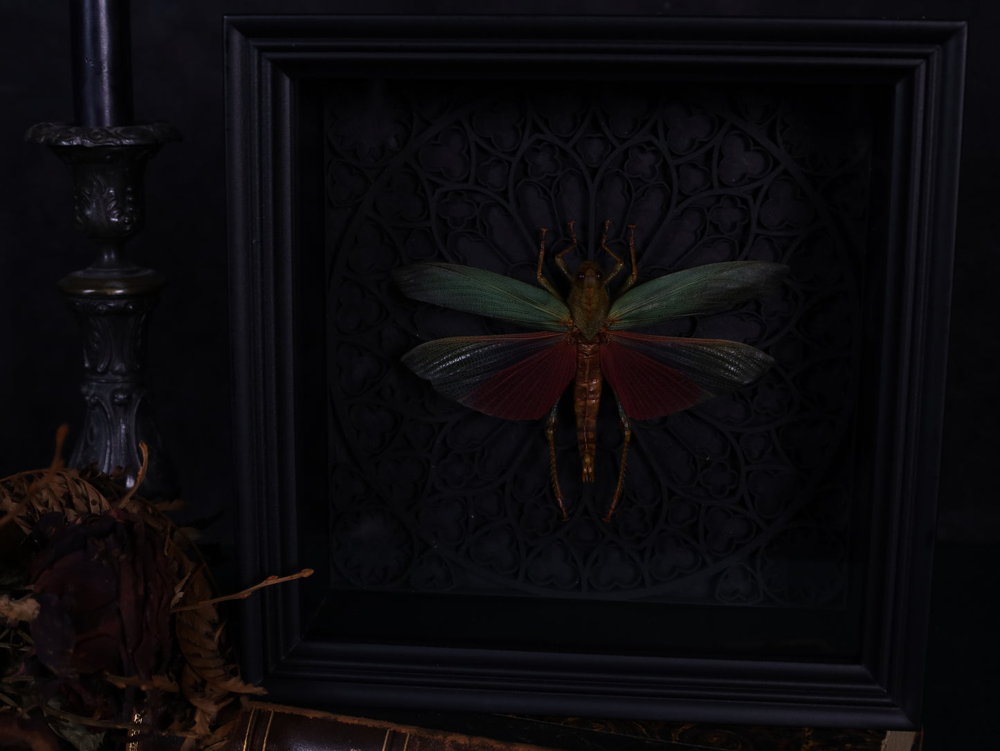 Echte Heuschrecke im Rahmen mit Gotik Hintergrund