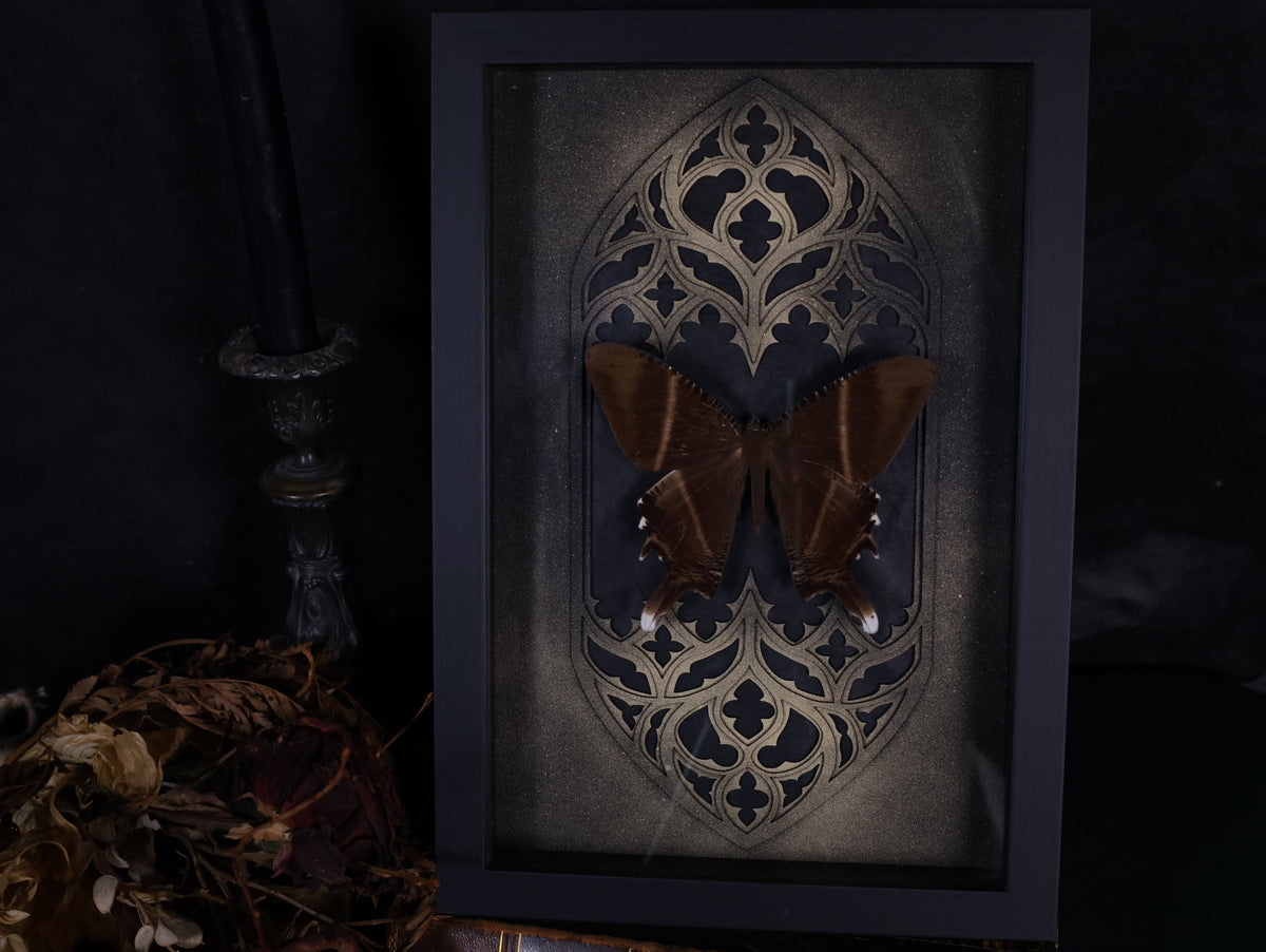 Swallowtail moth in a frame with a Gothic background