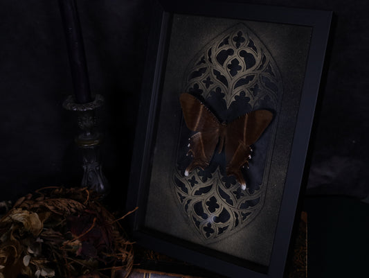 Swallowtail moth in a frame with a Gothic background