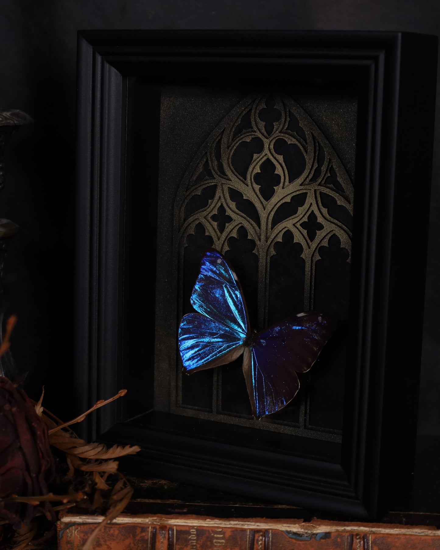 Morpho aega im schwarzen 3D-Rahmen mit gotischem Hintergrund | 20 x 15 cm