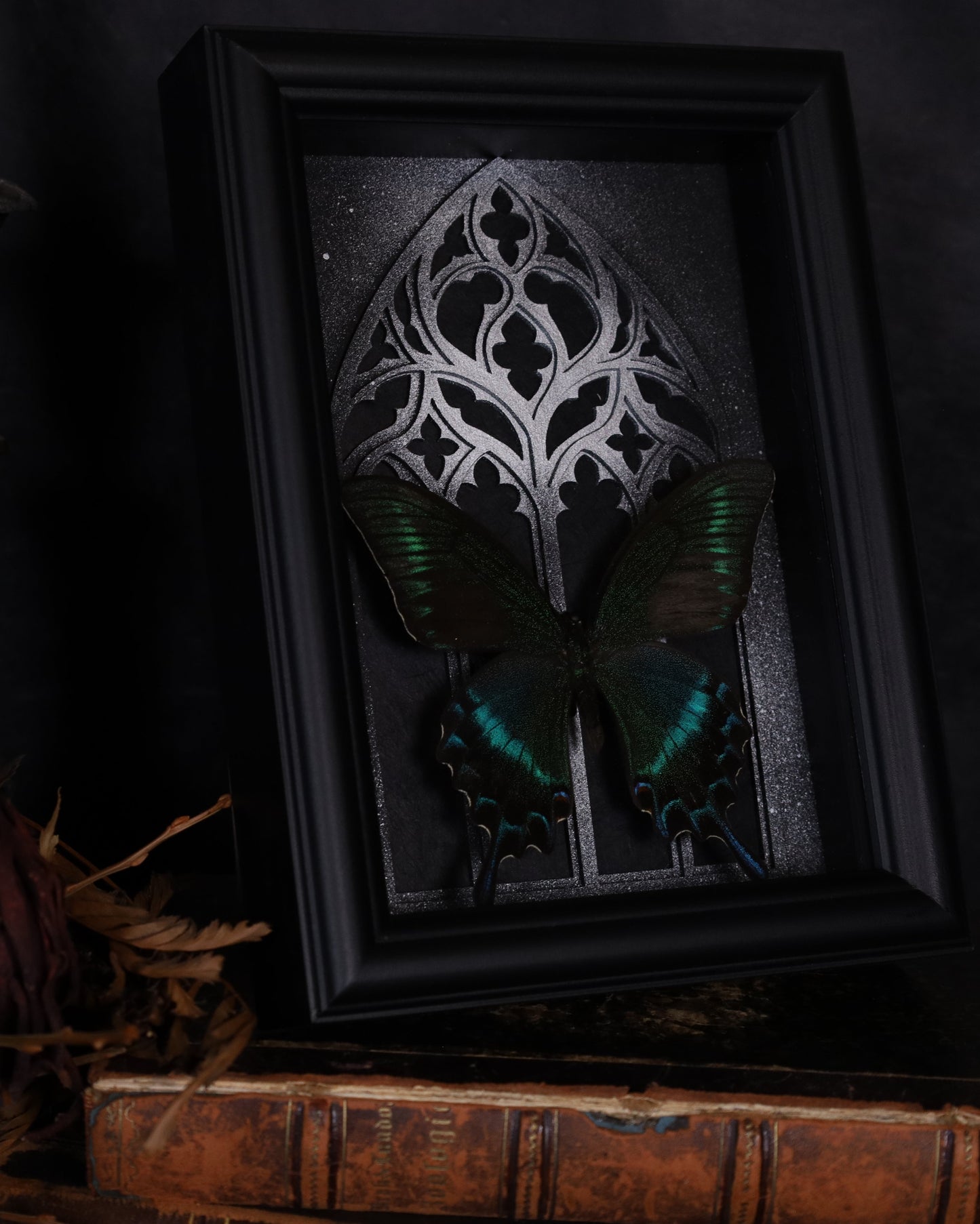 Papilio maaki (Summer Form) im schwarzen 3D-Rahmen mit gotischem Hintergrund | 20 x 15 cm