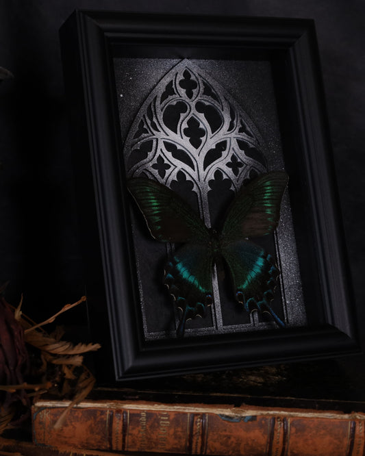 Papilio maaki (Summer Form) im schwarzen 3D-Rahmen mit gotischem Hintergrund | 20 x 15 cm