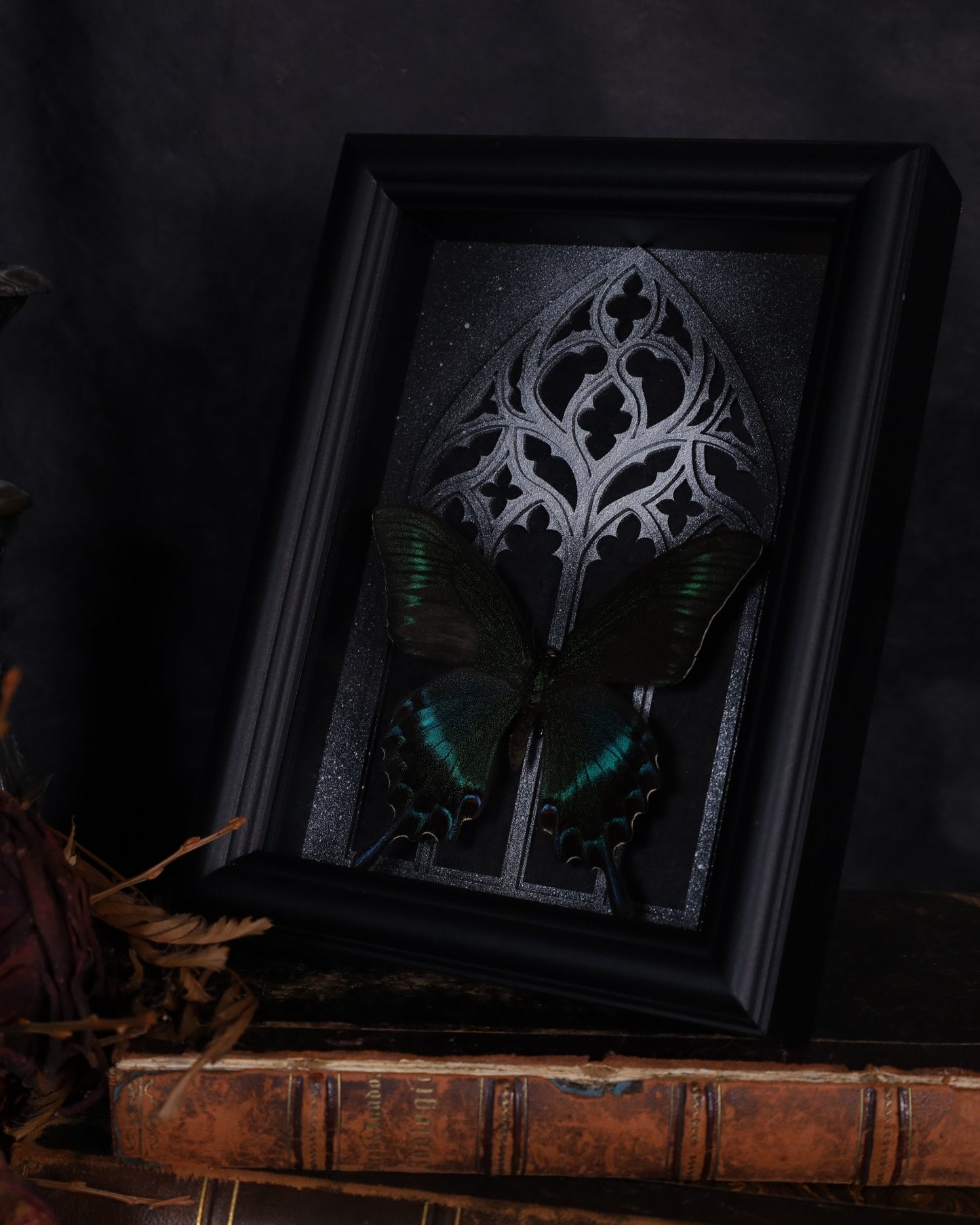Papilio maaki (Summer Form) im schwarzen 3D-Rahmen mit gotischem Hintergrund | 20 x 15 cm