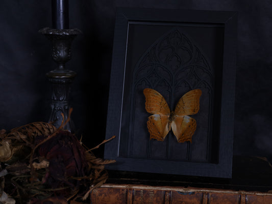 Vindula dejone im schwarzen 3D-Rahmen mit gotischem Hintergrund | 18 x 13 cm