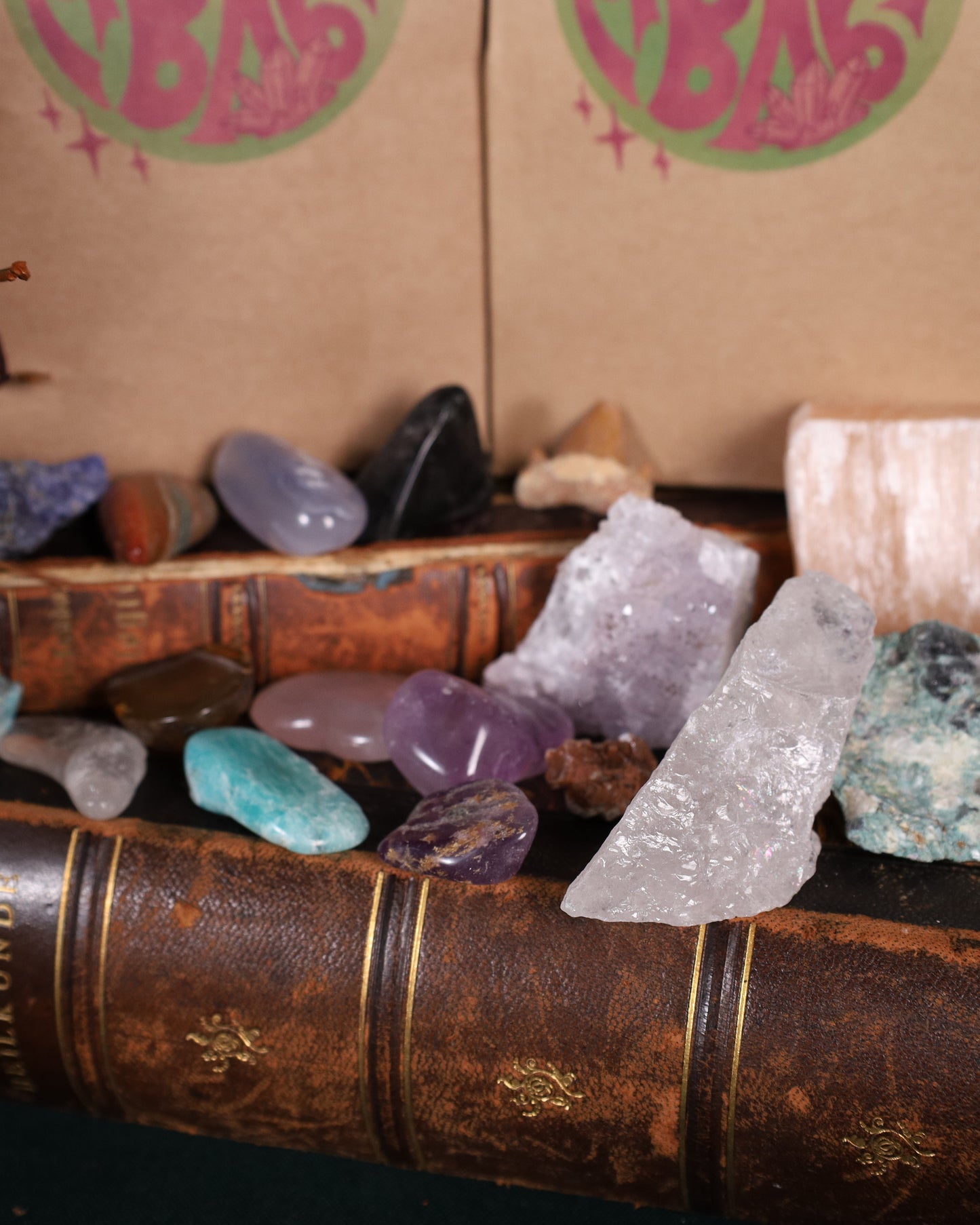 Kristall Mystery Bag – bis zu 20 verschiedene Steine, Fossilien & Natur-Schätze