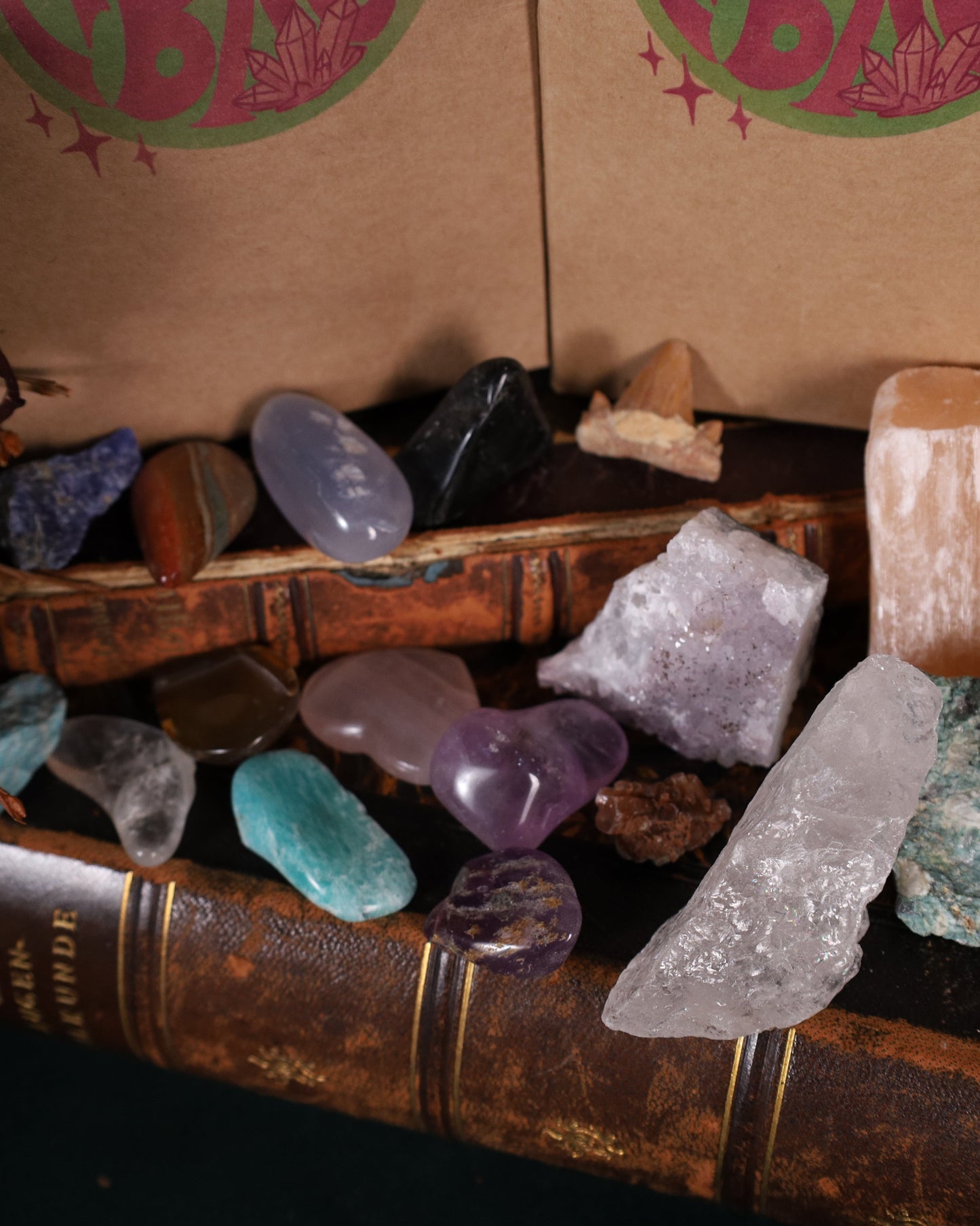 Kristall Mystery Bag – bis zu 20 verschiedene Steine, Fossilien & Natur-Schätze