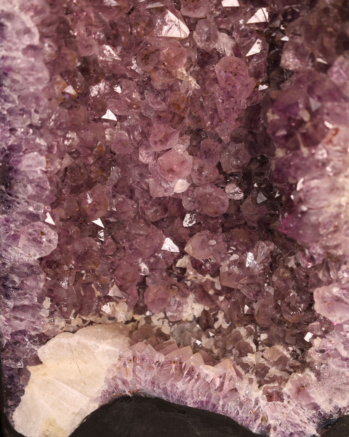 Amethystdruse aus Brasilien | 6,68 kg | 36 cm hoch – 16 cm breit