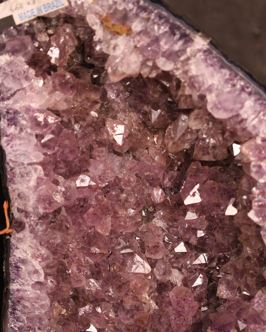 Amethystdruse aus Brasilien | 6,68 kg | 36 cm hoch – 16 cm breit