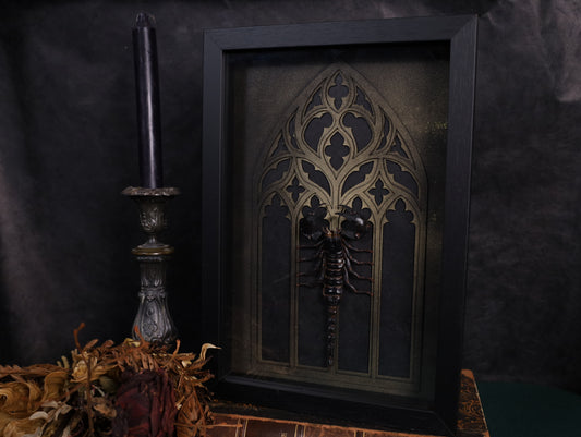 Heterometrus laoticus im Rahmen mit Gotischem Hintergrund | 20 x 30 cm