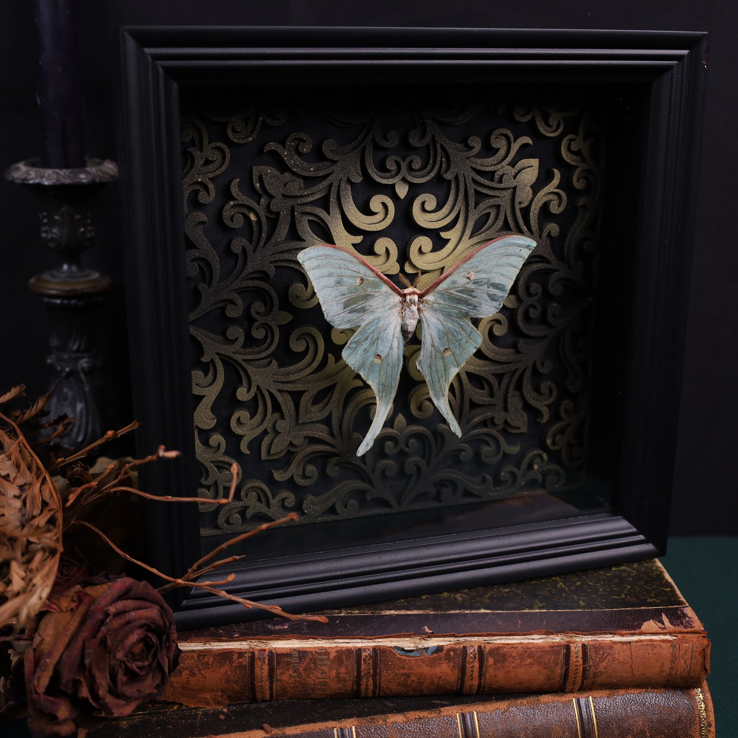 Actias selene im schwarzen 3D-Rahmen mit Barock Hintergrund | 22 x 22 cm