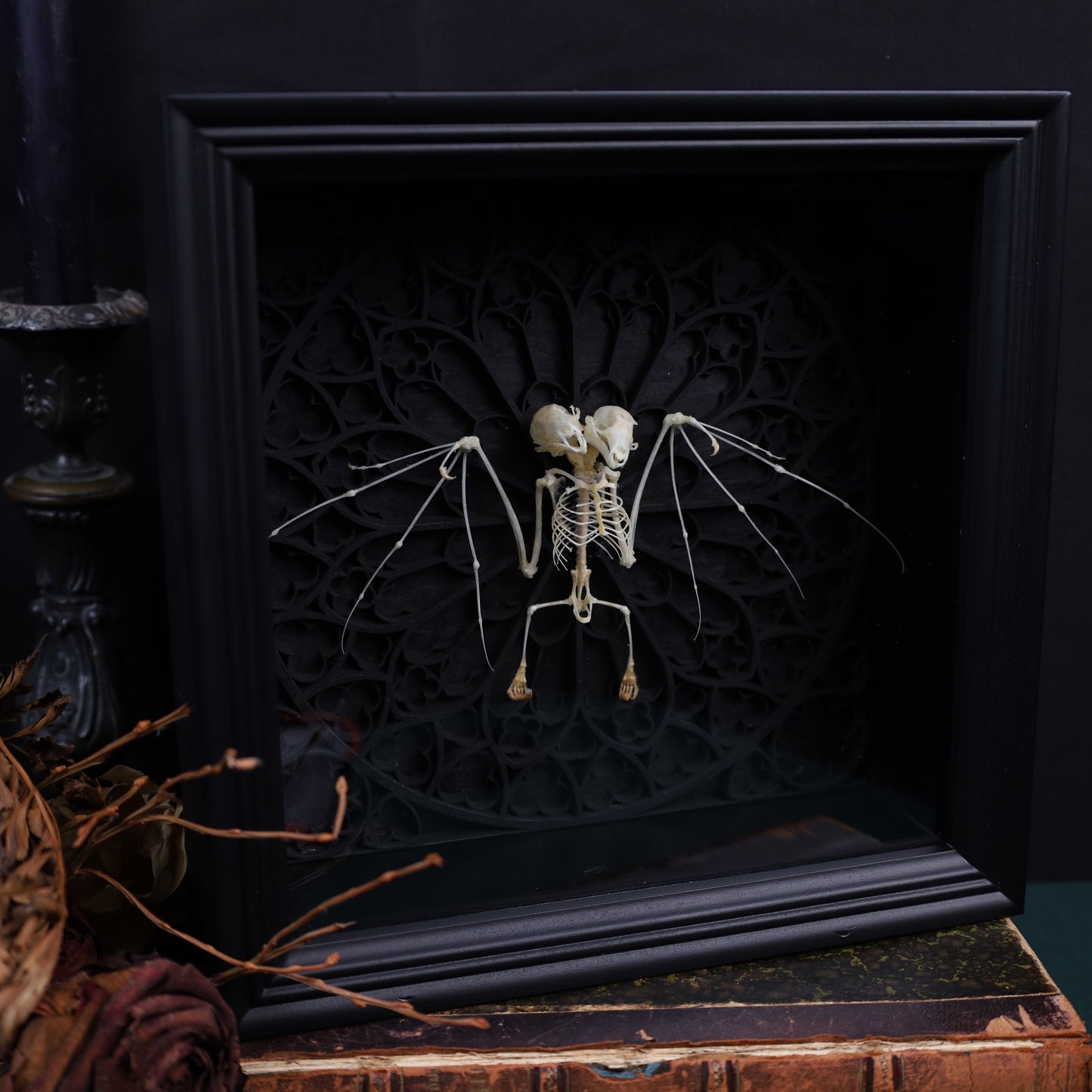 Zweiköpfieger Flughund Skelett im Rahmen auf gotischem Hintergrund | 22x22cm