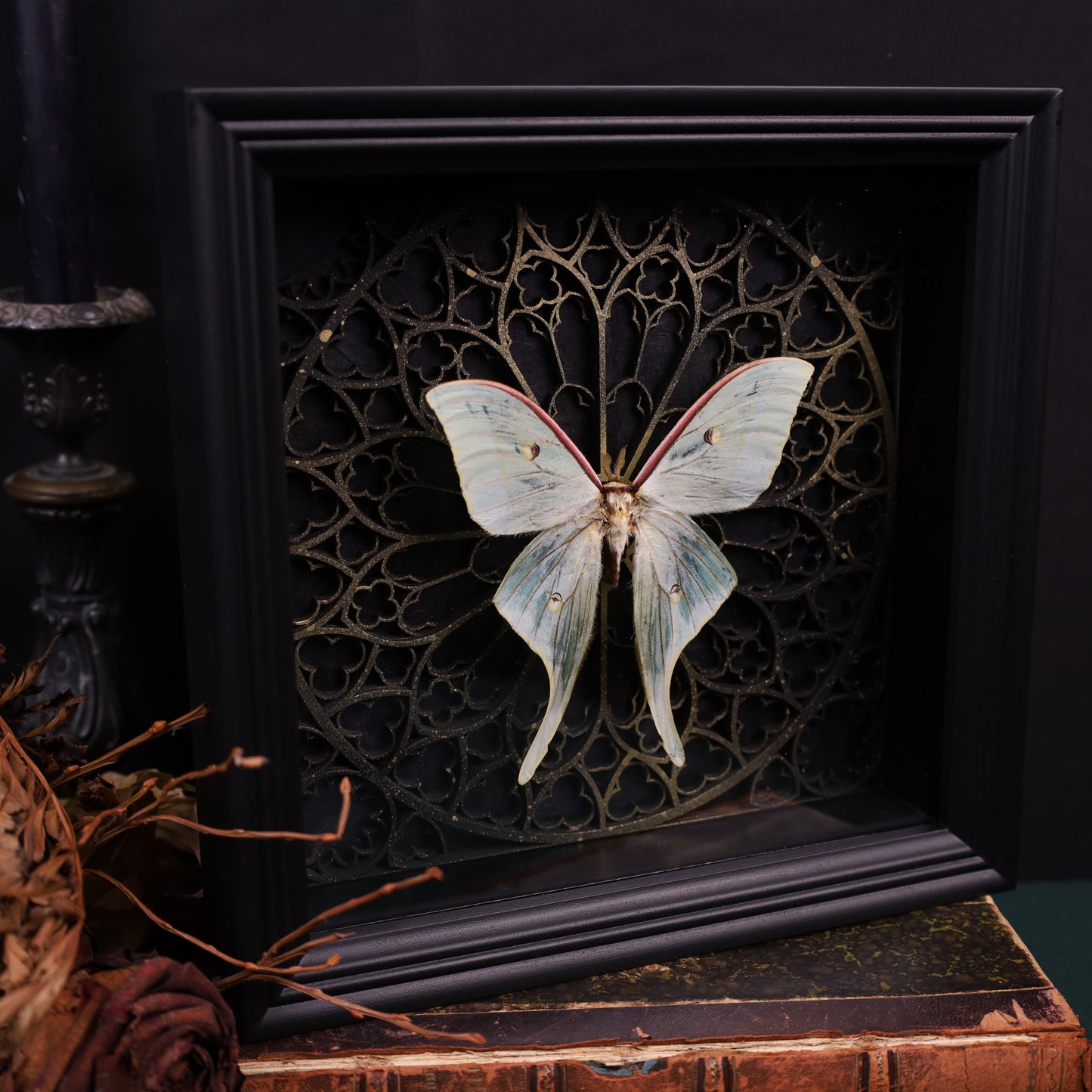 Actias selene im schwarzen 3D-Rahmen mit gotischem Hintergrund | 22 x 22 cm