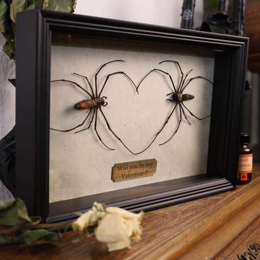 Valentinstag-Spezial: Nephila-maculata-Liebesrahmen | 20×30×5 cm