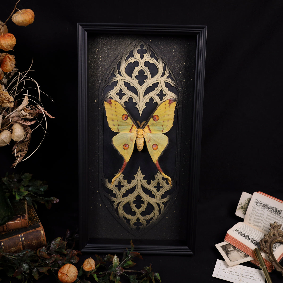 Gelbes Argema-mittrei-Weibchen mit ausgebreiteten Flügeln im schwarzen Hochformatrahmen vor einem gotischen Doppelkathedralfenster mit goldenen Akzenten.
