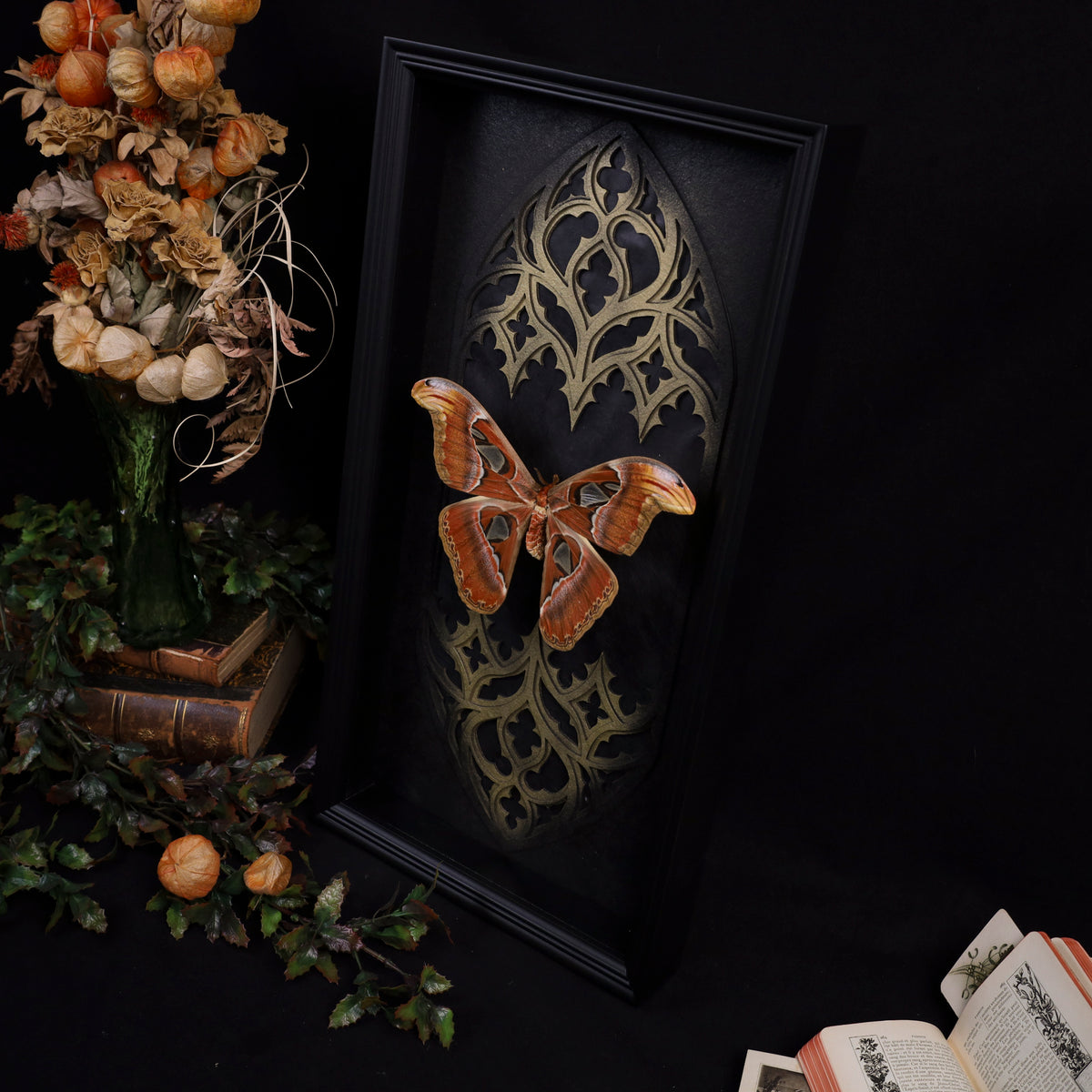Attacus atlas im Rahmen – Atlasspinner als gotisches Masterpiece