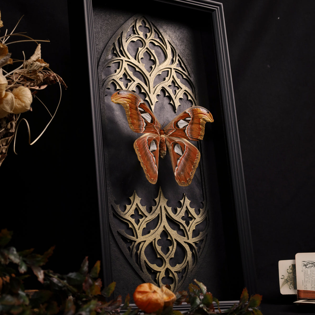 Attacus atlas im Rahmen – Atlasspinner als gotisches Masterpiece