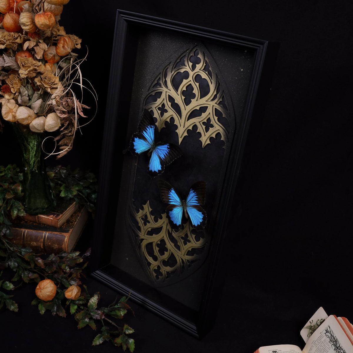 Papilio ulysses im Rahmen – Masterpiece mit zwei Schmetterlingen | 25x50cm