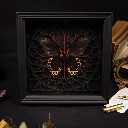 Papilio deiphobus mit ausgebreiteten dunklen Flügeln und rötlich-gelben Zeichnungen im schwarzen Rahmen vor einem Kathedralmotiv mit roter Mitte.