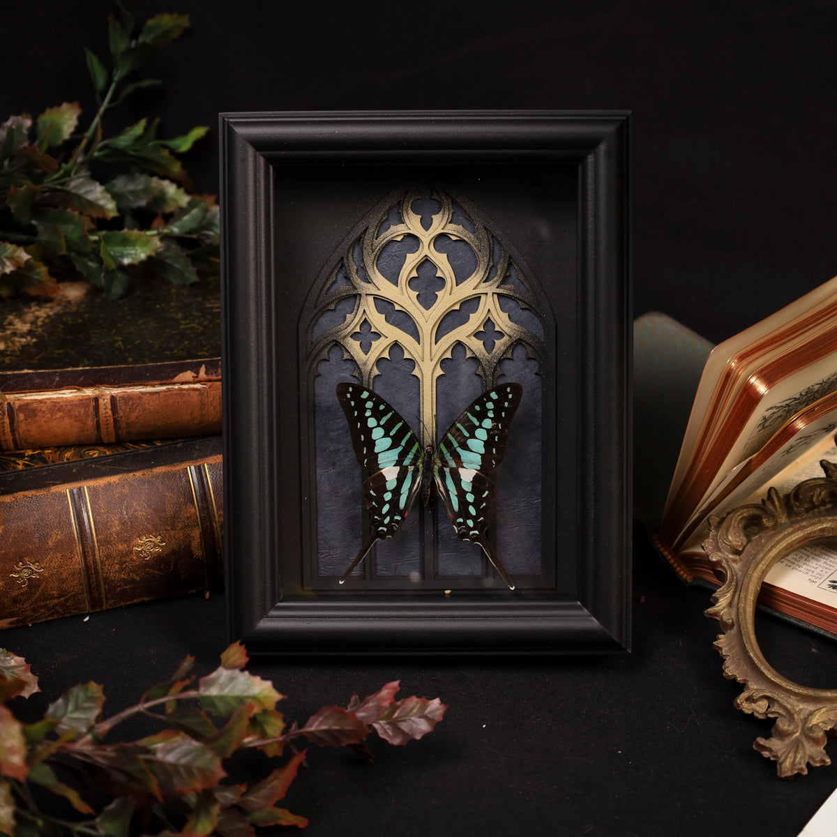 Graphium policenes im Rahmen – Schmetterling vor gotischem Kathedralfenster | 15x20cm