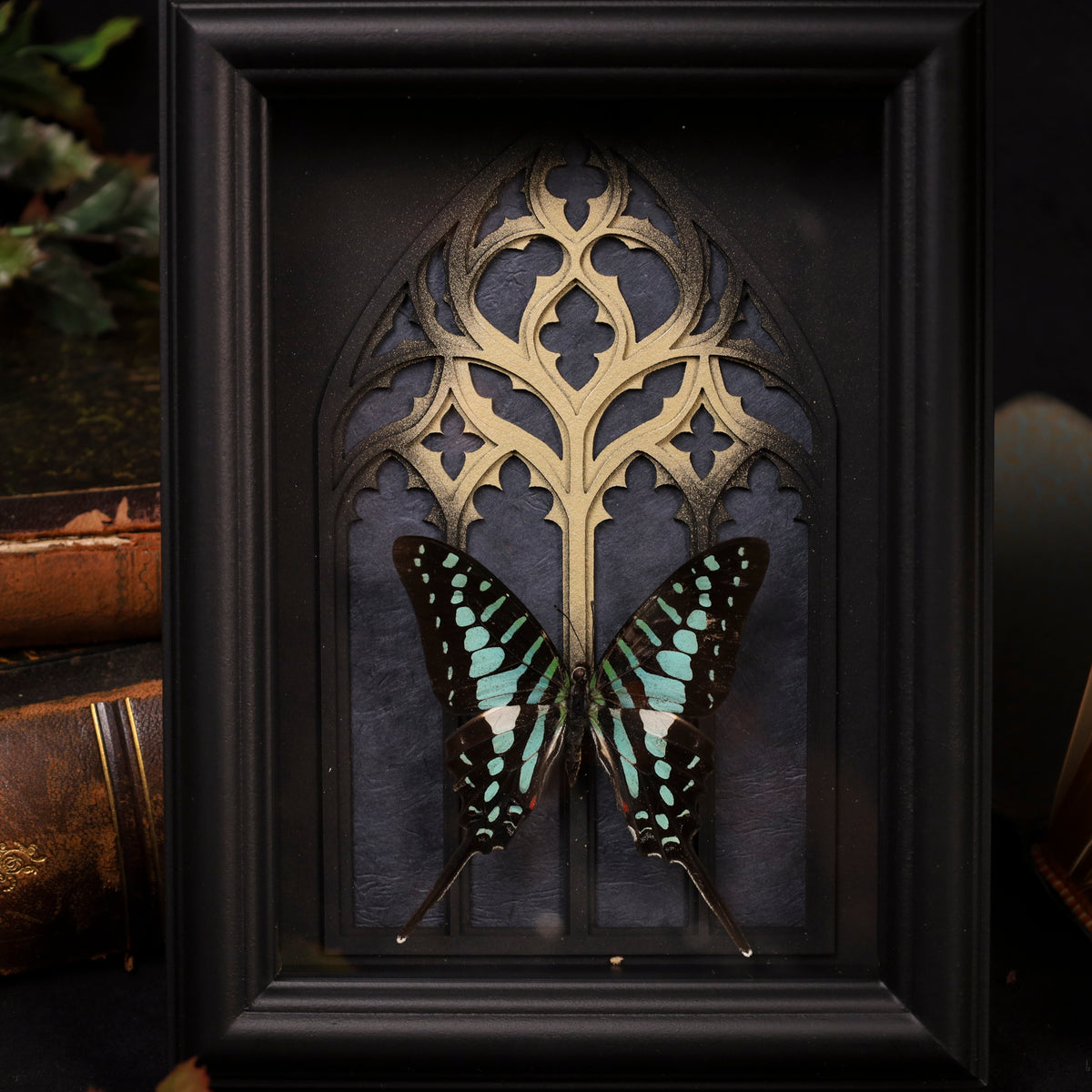 Graphium policenes im Rahmen – Schmetterling vor gotischem Kathedralfenster | 15x20cm